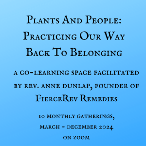 Black text on light blue background reads: "Plants and People: Practicing Our Way Back to Belonging. A Co-Learning Space Facilitated by Rev. Anne Dunlap, Founder of FierceRev Remedies. 10 Monthly Gatherings, March - December 2024. On Zoom."